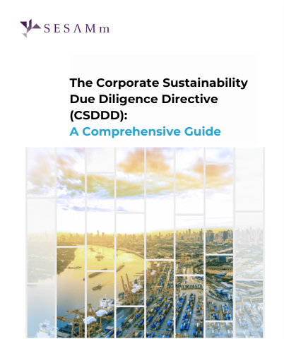 Ebook The Corporate Sustainability Due Diligence Directive (CSDDD) A Comprehensive Guide