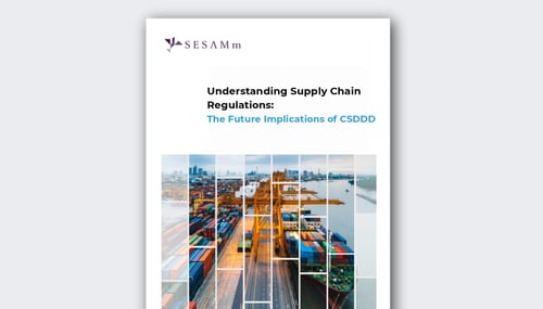 Understanding Supply Chain Regulations: The Future Implications of CSDDD